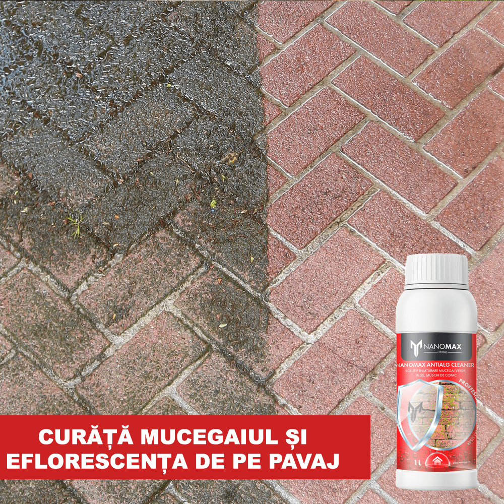 Wall Mold Detergent, Moss, Green Efflorescence, NanoMax, 750 ml