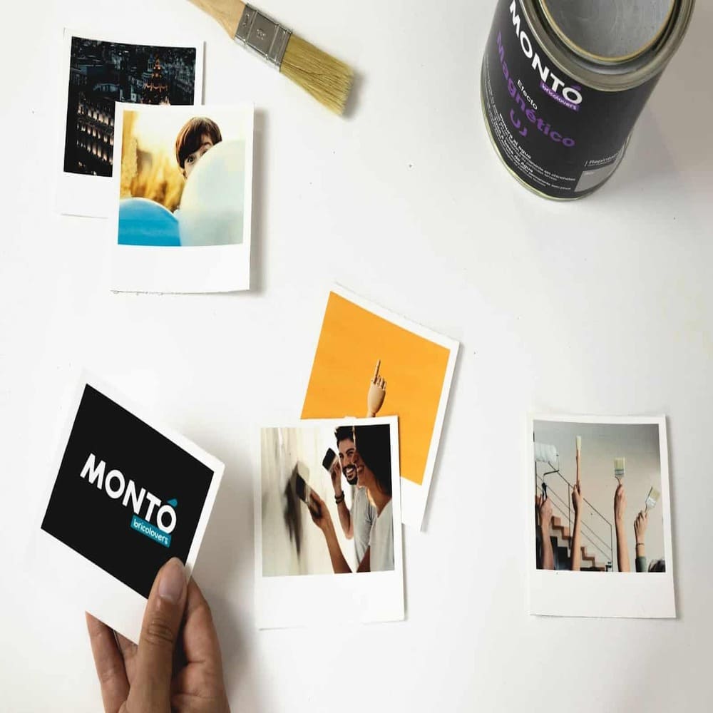 Paint with Magnetic Effect for concrete walls, plaster, wood after priming, Monto, 750ml