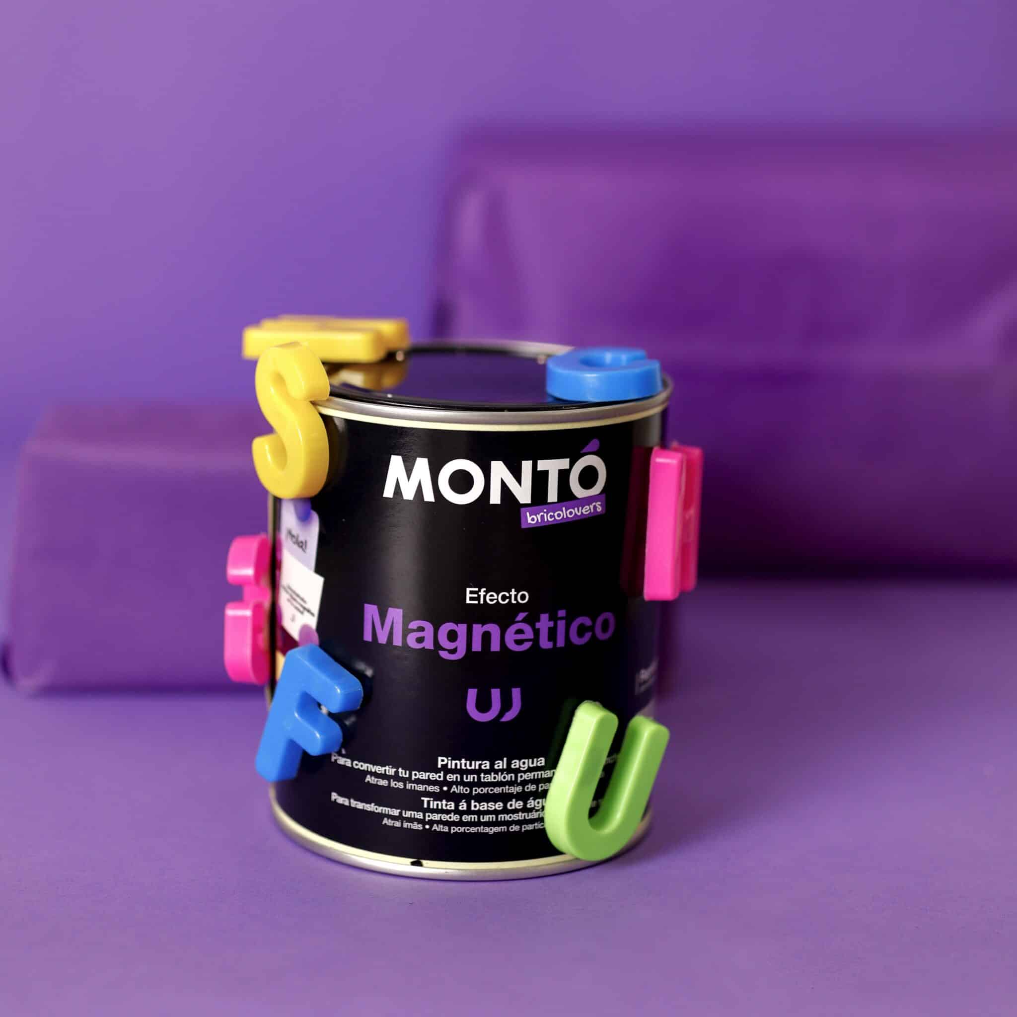 Paint with Magnetic Effect for concrete walls, plaster, wood after priming, Monto, 750ml