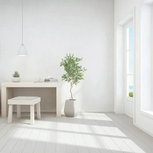 Detergenti De Interior