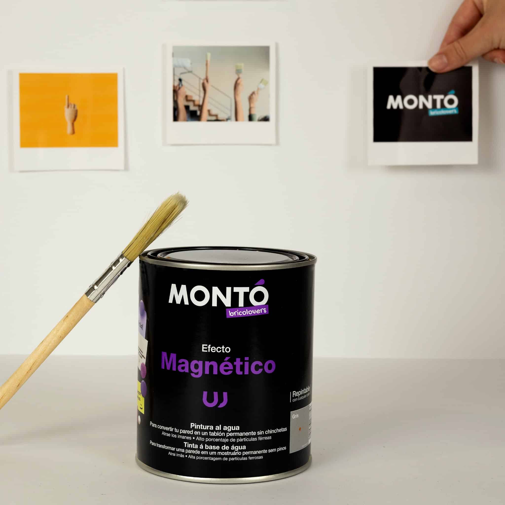 Paint with Magnetic Effect for concrete walls, plaster, wood after priming, Monto, 750ml