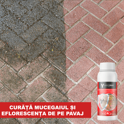 Wall Mold Detergent, Moss, Green Efflorescence, NanoMax, 750 ml