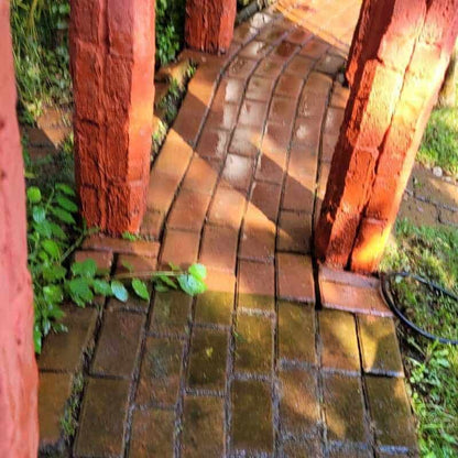 Detergent Mucegai Pereti Muschi Eflorescenta Verde NanoMax 750 - Nanomax