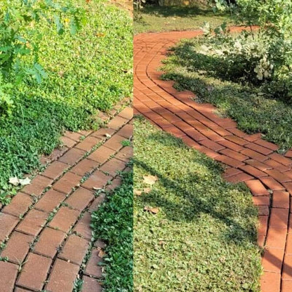 Pavaj curat și înlăturare mușchi cu Detergent Nanomax pentru pereti și eflorescență verde, 750 ml.