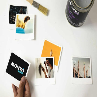 Paint with Magnetic Effect for concrete walls, plaster, wood after priming, Monto, 750ml